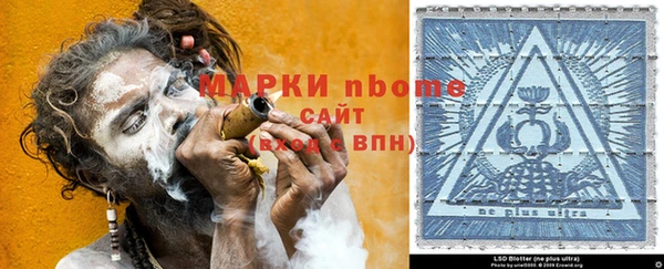 шишки Туринск